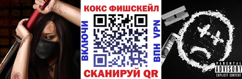 МЕГА tor  Новоалтайск  COCAIN Fish Scale 