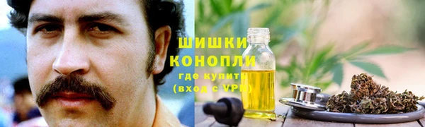 сатива Баксан