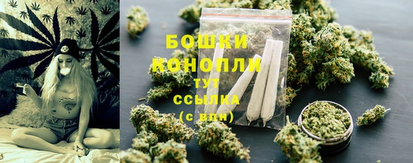 сатива Баксан